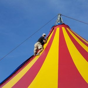 Herald reccomend basdo festival tent