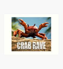 Noise crab rave release