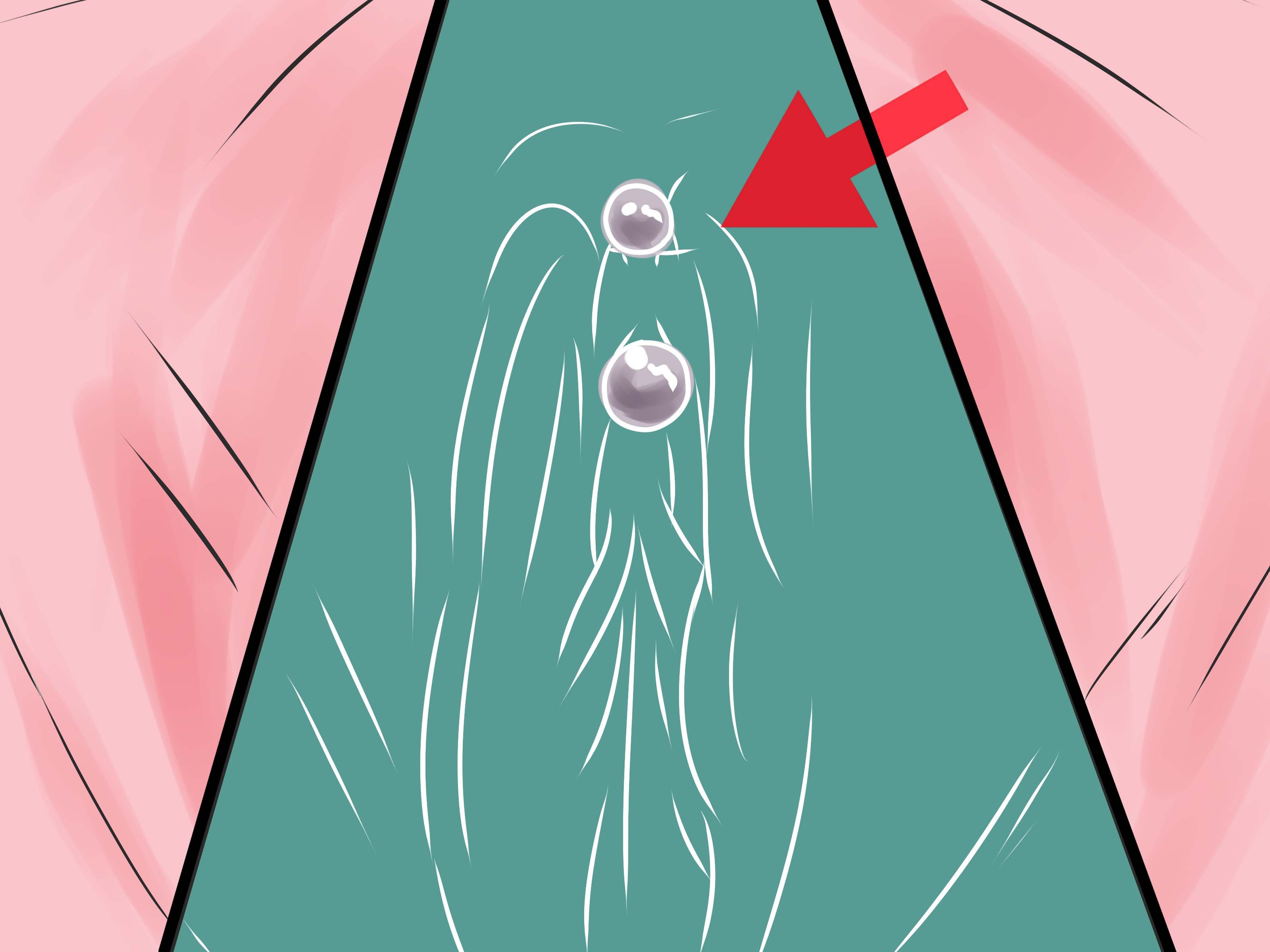 Clitoris piercing instructions