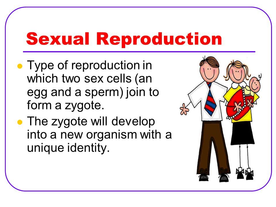 Form of reproduction joining of sperm and cell