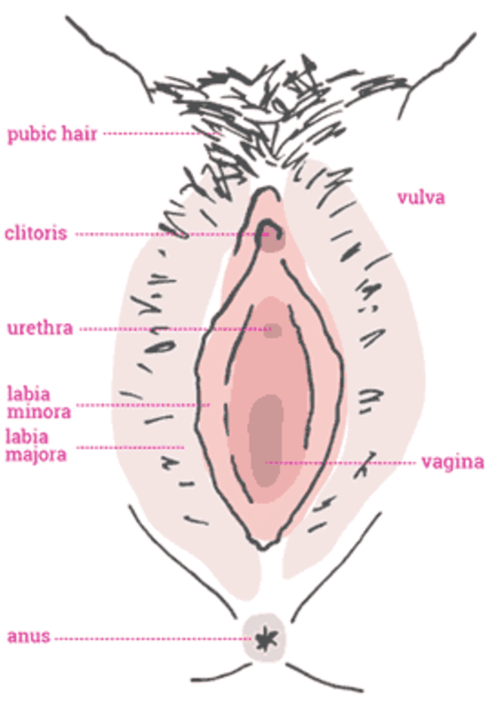 Sore clitoris labia