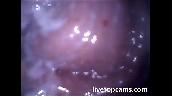 Penis orgasm inside a vagina