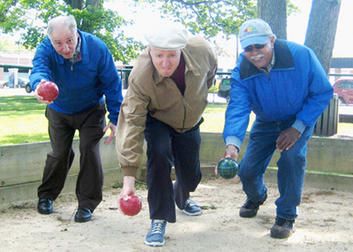 Funny bocce pictures