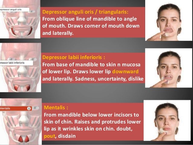 best of Expression caused supercilii Facial by corrugator