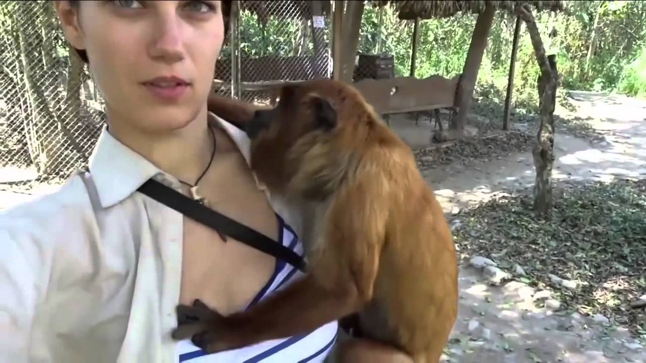 Field G. reccomend Nude images boobs of monkey