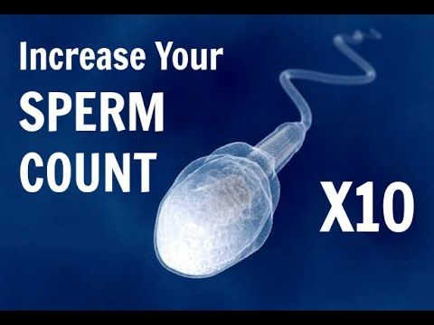 best of Increase sperm zinc Count