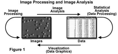 best of And Image analysis processing