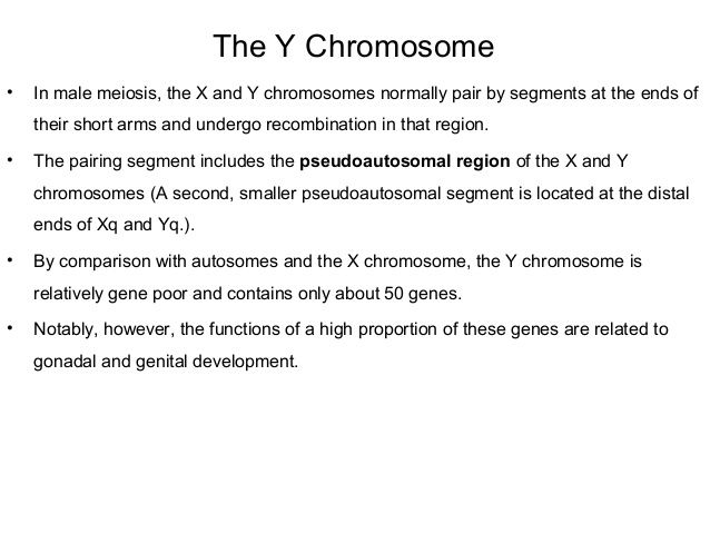 Comet reccomend Definition of sex chromosome