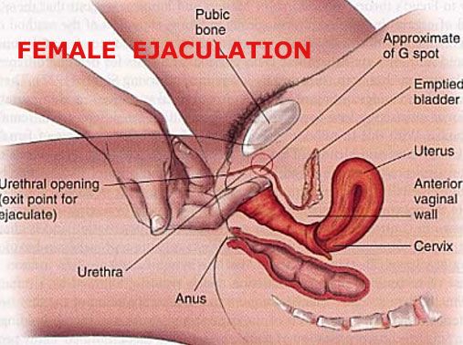Gspot orgasm ejaculation