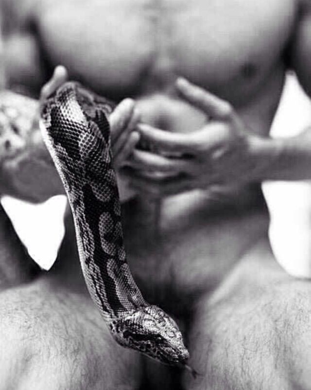 best of Snakes with Nude photography