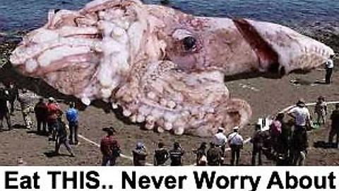 Inventor reccomend Giant fucking squid