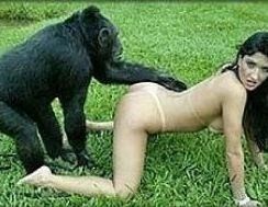 Gorilla fucking a girl naked