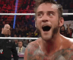Funny cm punk pictures