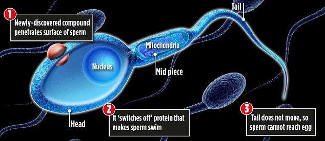 Stopped pruducing sperm