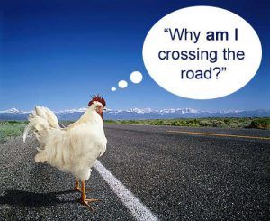 best of Hemingway the cross jokes road Why the did chicken