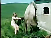 Donkey fat women sex