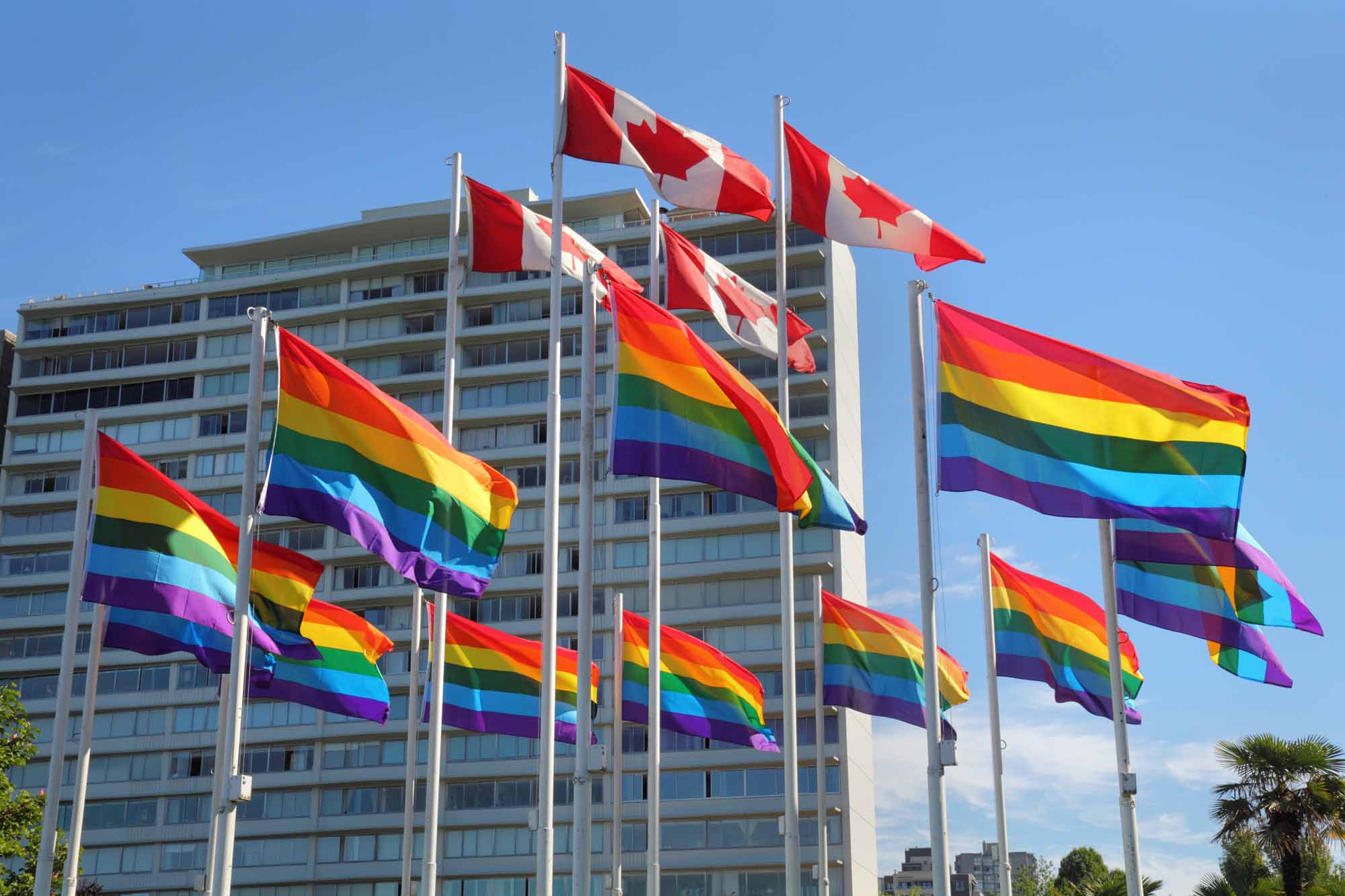 Banshee reccomend Gay and lesbian community ottawa canada