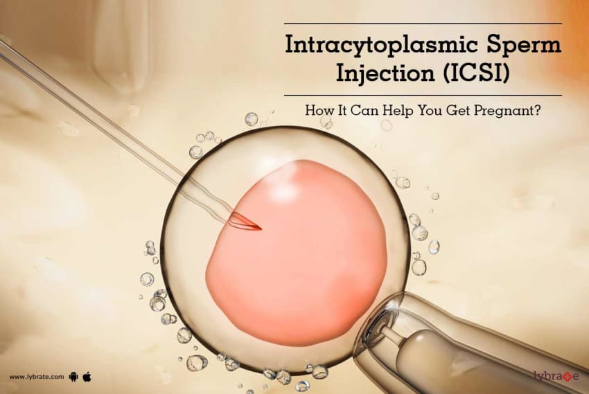 Intracytoplasmic sperm injection icsi costs